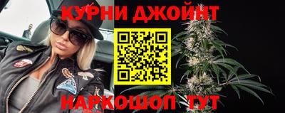гидра Кандалакша