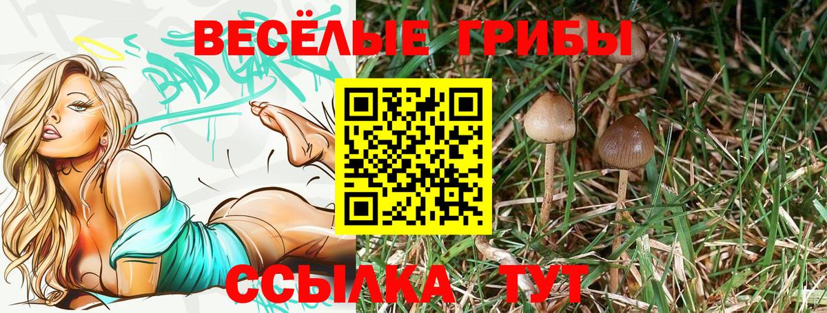 Псилоцибиновые грибы ЛСД Муравленко
